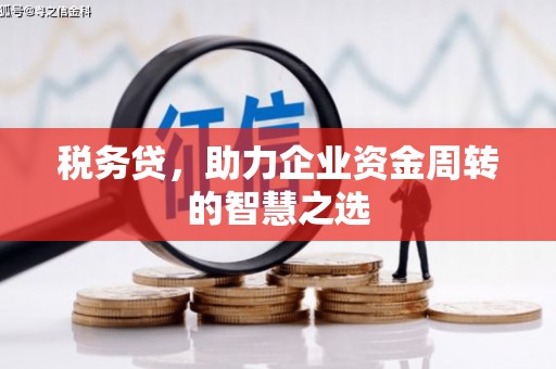 兰西税务贷，助力企业资金周转的智慧之选