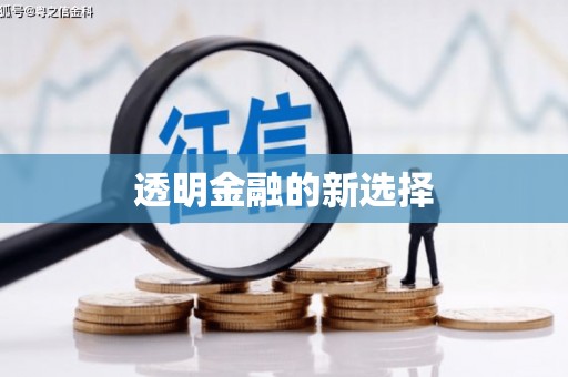 柳营透明金融的新选择