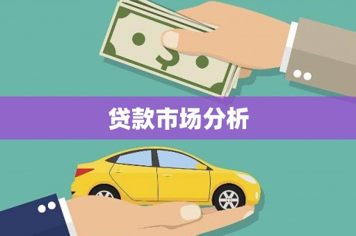 文成贷款市场分析