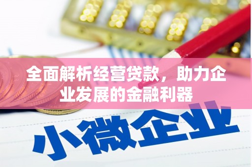 前郭尔罗斯全面解析经营贷款，助力企业发展的金融利器