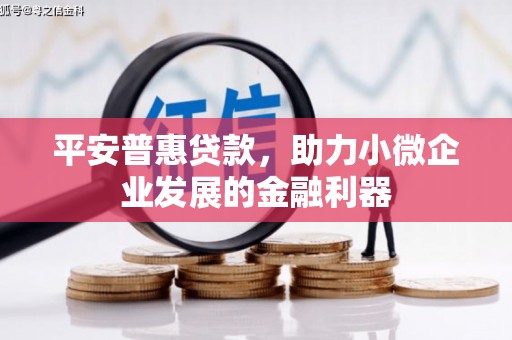 安乡平安普惠贷款，助力小微企业发展的金融利器