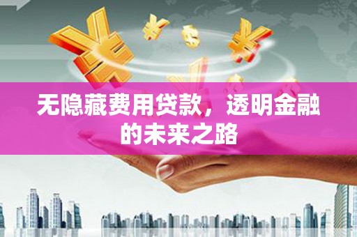 沁源无隐藏费用贷款，透明金融的未来之路