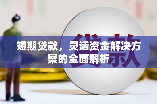 海南短期贷款，灵活资金解决方案的全面解析