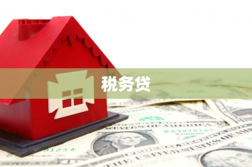 台西税务贷