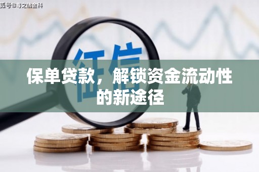 海陵保单贷款，解锁资金流动性的新途径