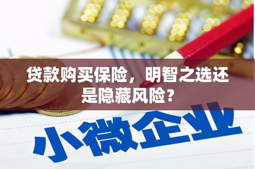 南票贷款购买保险，明智之选还是隐藏风险？