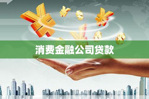 利辛消费金融公司贷款