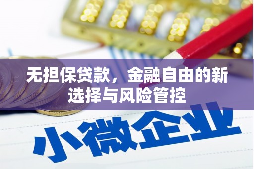 北关无担保贷款，金融自由的新选择与风险管控