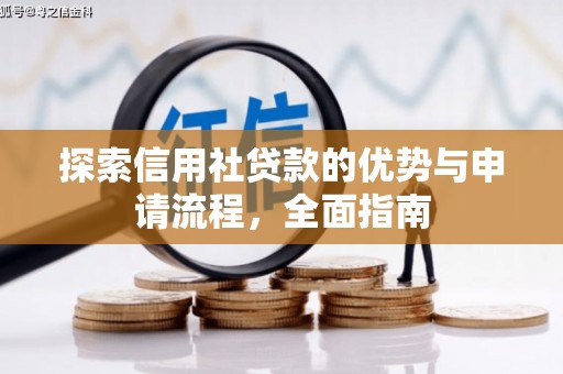 新蔡探索信用社贷款的优势与申请流程，全面指南