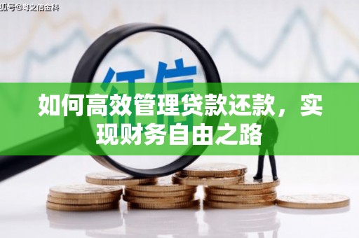 海陵如何高效管理贷款还款，实现财务自由之路