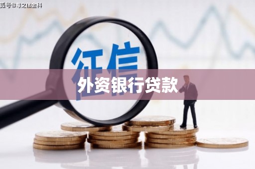自流井外资银行贷款