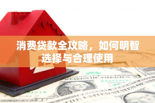 互助消费贷款全攻略，如何明智选择与合理使用