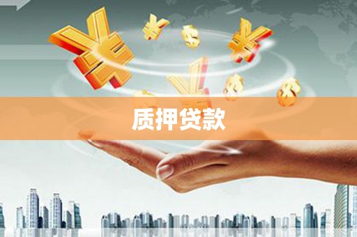 全南质押贷款