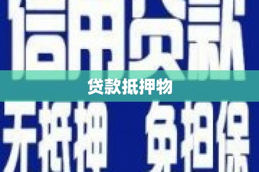 民和贷款抵押物