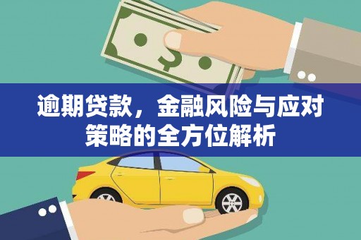 宾川逾期贷款，金融风险与应对策略的全方位解析