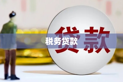 宁明税务贷款