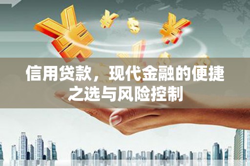 昆明信用贷款，现代金融的便捷之选与风险控制