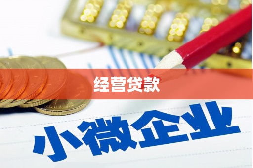 文成经营贷款