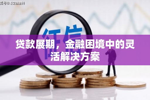 工布江达贷款展期，金融困境中的灵活解决方案