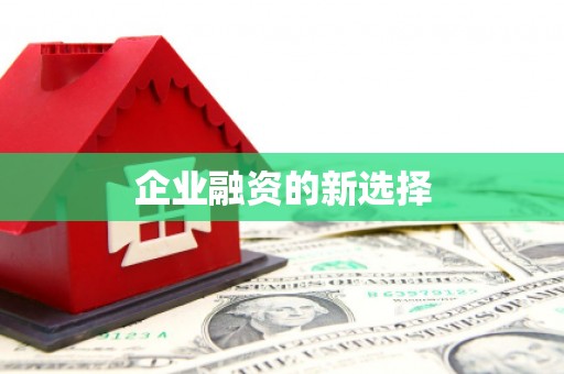 保税港区企业融资的新选择