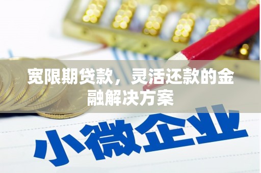 三穗宽限期贷款，灵活还款的金融解决方案