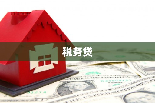 宜君税务贷