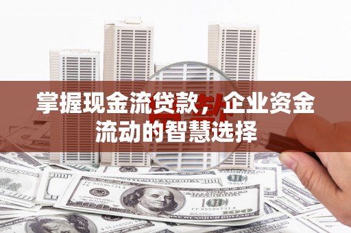 路环岛掌握现金流贷款，企业资金流动的智慧选择