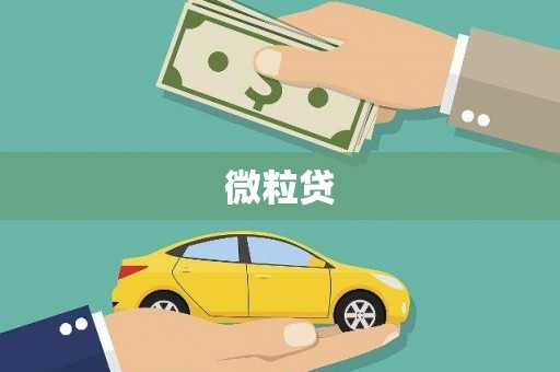 庐江微粒贷