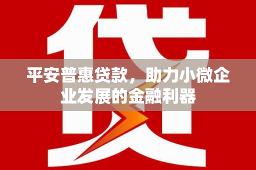 平南平安普惠贷款，助力小微企业发展的金融利器