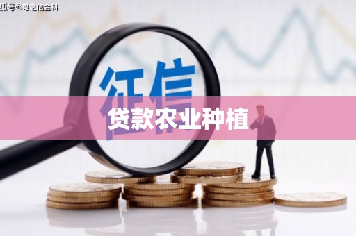 于洪贷款农业种植