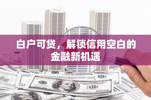 龙文白户可贷，解锁信用空白的金融新机遇