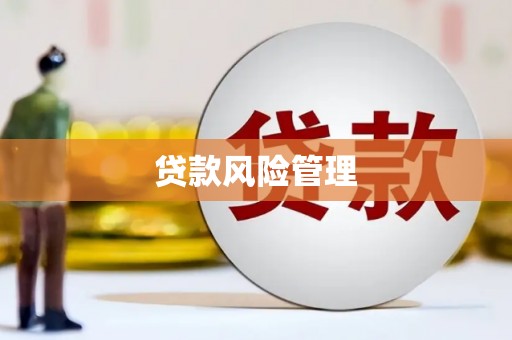 东乡族贷款风险管理
