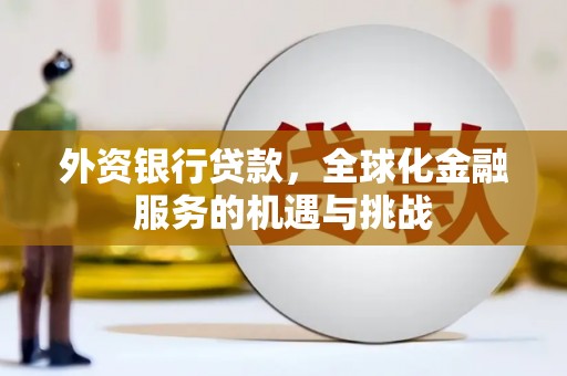 抚远外资银行贷款，全球化金融服务的机遇与挑战
