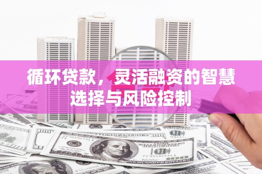 屏南循环贷款，灵活融资的智慧选择与风险控制