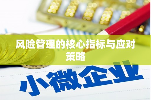 永川风险管理的核心指标与应对策略