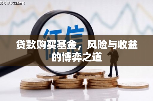 苍溪贷款购买基金，风险与收益的博弈之道