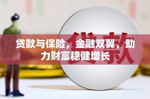 暖暖贷款与保险，金融双翼，助力财富稳健增长