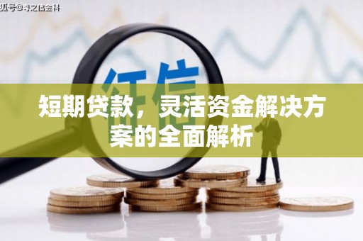 岭东短期贷款，灵活资金解决方案的全面解析