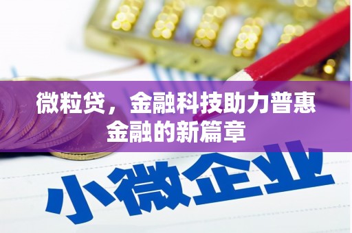 横沥微粒贷，金融科技助力普惠金融的新篇章