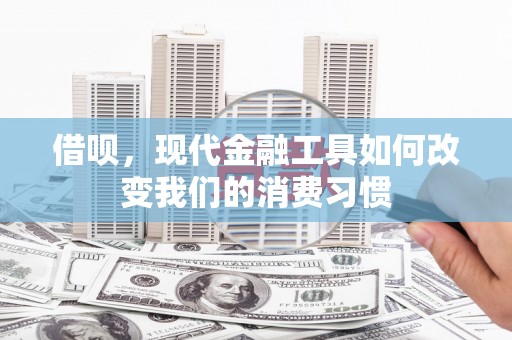 靖西借呗，现代金融工具如何改变我们的消费习惯