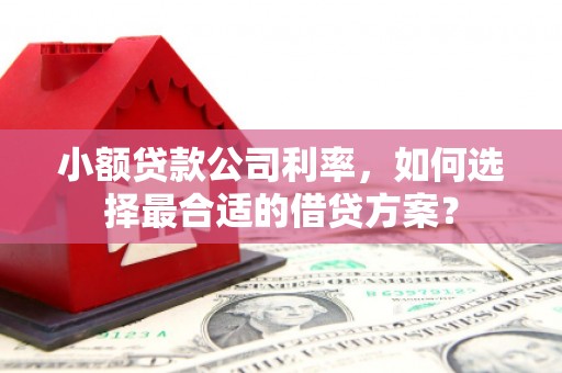 天宁小额贷款公司利率，如何选择最合适的借贷方案？