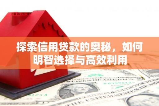 遵化市探索信用贷款的奥秘，如何明智选择与高效利用