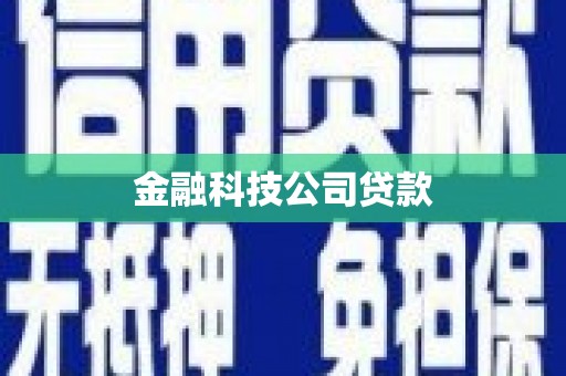 赫山金融科技公司贷款