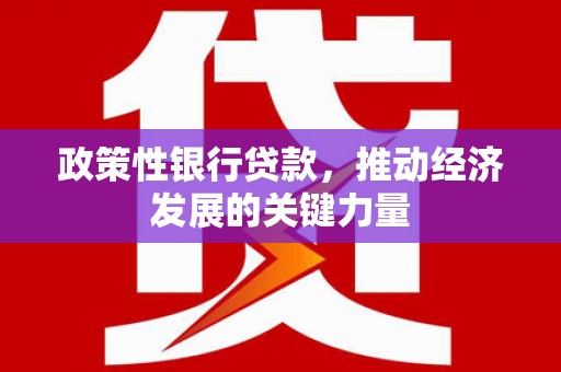 金城政策性银行贷款，推动经济发展的关键力量
