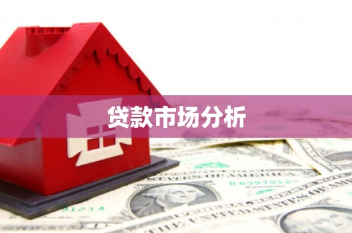 乐东贷款市场分析