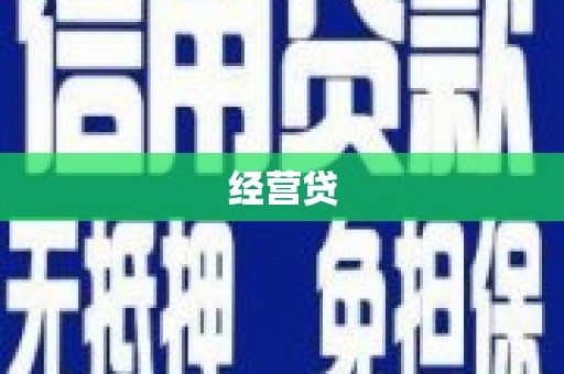 新华经营贷