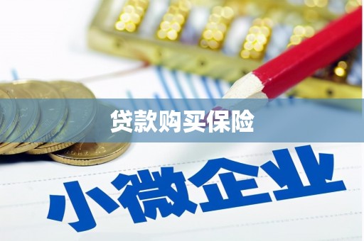 浮山贷款购买保险