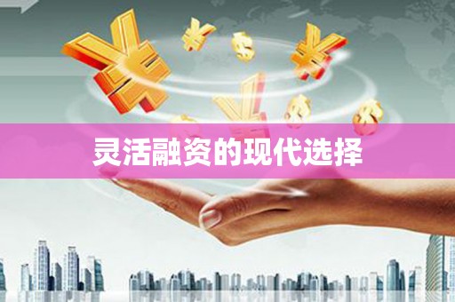 邵东灵活融资的现代选择