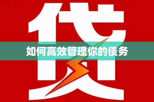 左营如何高效管理你的债务
