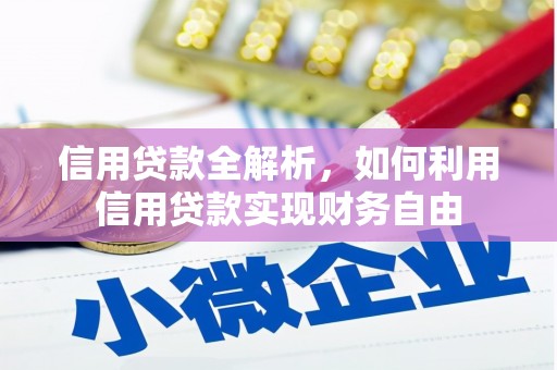 龙川信用贷款全解析，如何利用信用贷款实现财务自由